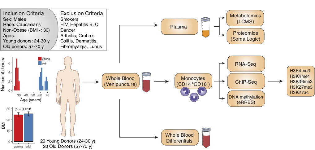artyomov lab